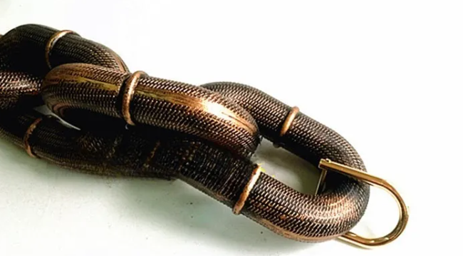 Cadena Bestia para tu cachorro